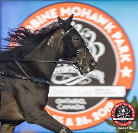 02:20 Woodbine Mohawk Harness .